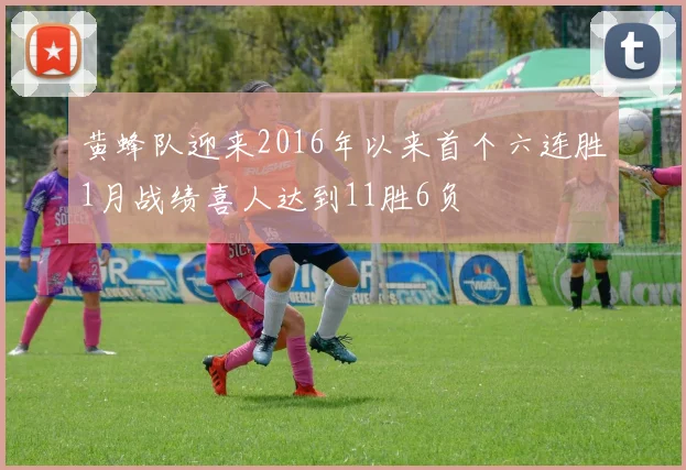 黄蜂队迎来2016年以来首个六连胜1月战绩喜人达到11胜6负