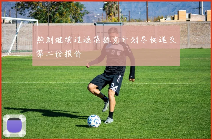 热刺继续追逐范赫克计划尽快递交第二份报价